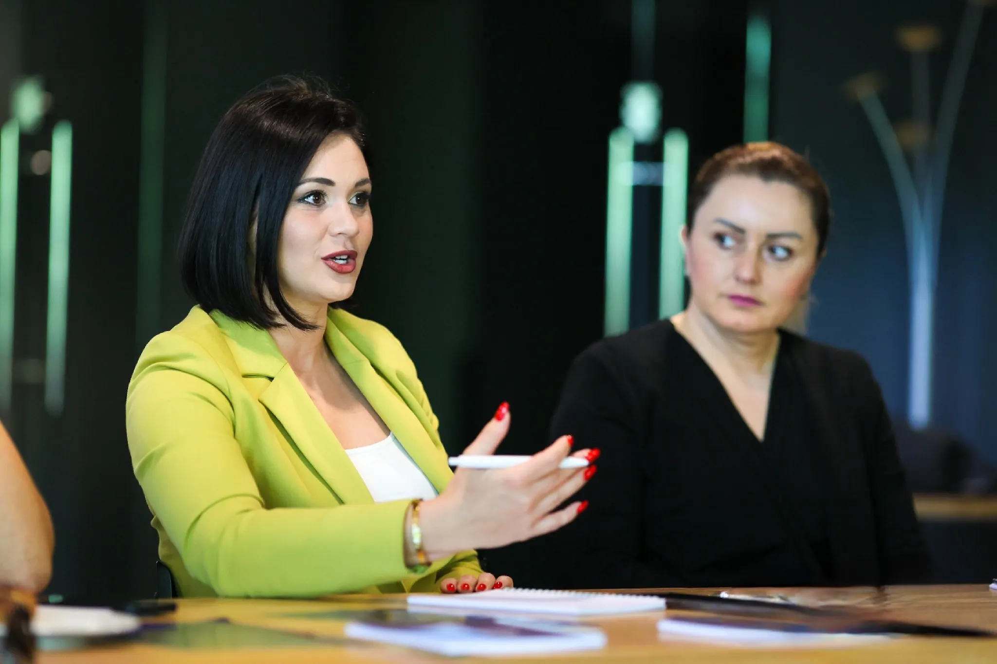 Krišto sudjelovala na radionici ”Govor mržnje u političkom diskursu”